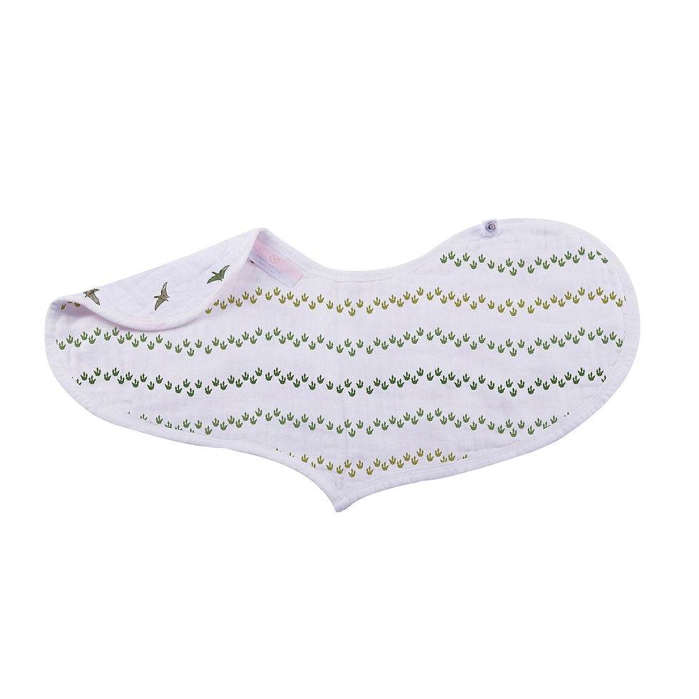 Thumbnail: Dino Days Cotton Burp Cloth Bib 2PK