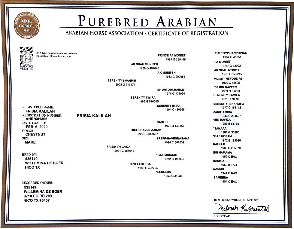 Frisia Kalilah pedigree.jpg