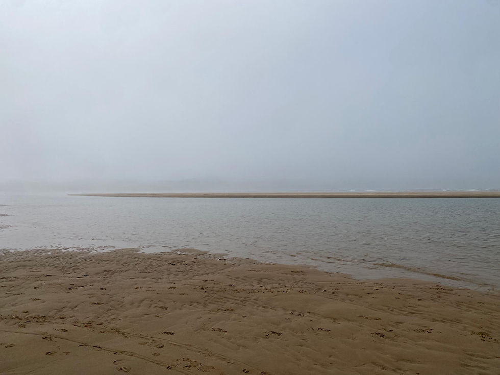 foggy_notions.jpeg