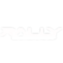 RCG Logo White.png