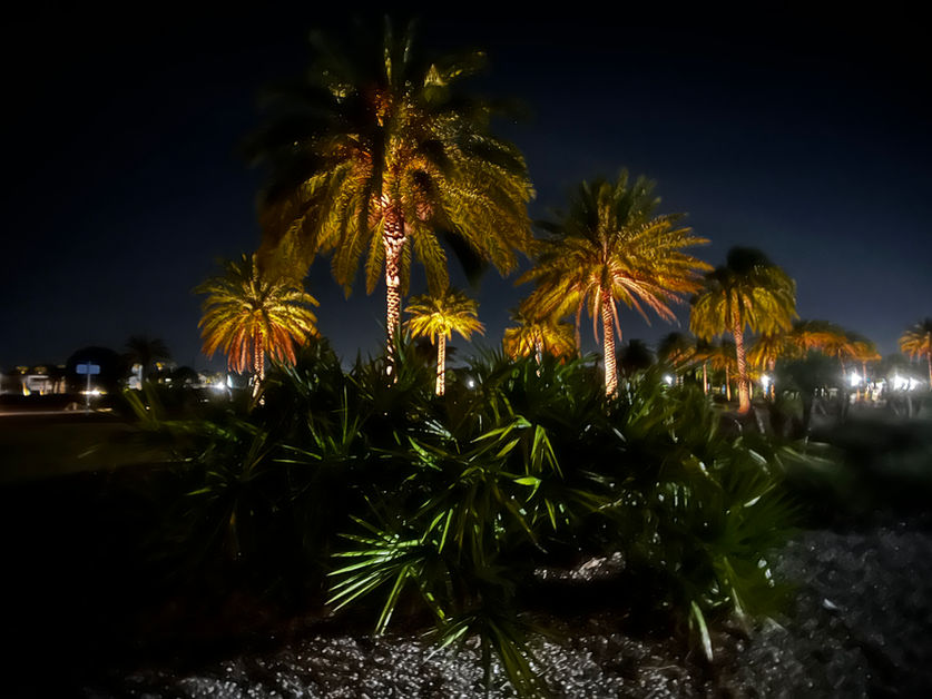 Jacksonville, FL landscape lighting and up lighting