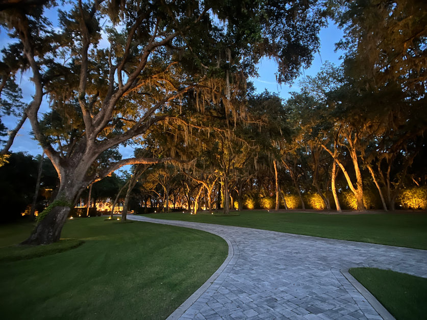 Jacksonville, FL landscape lighting