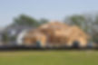 dreamstime_xxl_92579246_edited.jpg