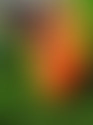 HRT3M - Unit 1: Aboriginal Spirituality & Practices