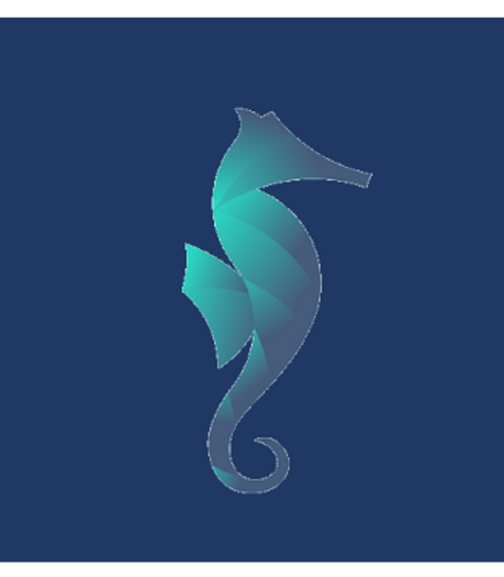 BUTTO SEA HORSE.png