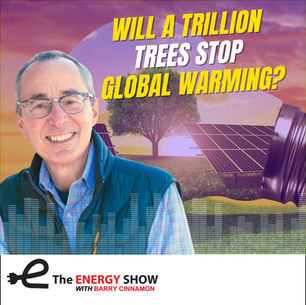 Will a Trillion Trees Stop Global Warming?