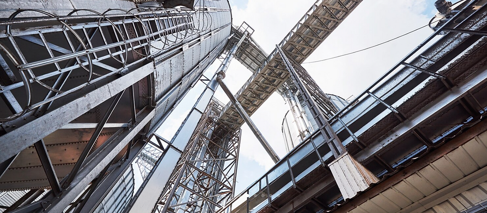 Captura de tela 2025-07-30 012015.png