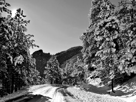 Cruising Through Colorado: Our Favorite Scenic Routes and Road Trips Across Colorado