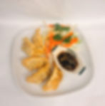 GYOZA VEGETABLE