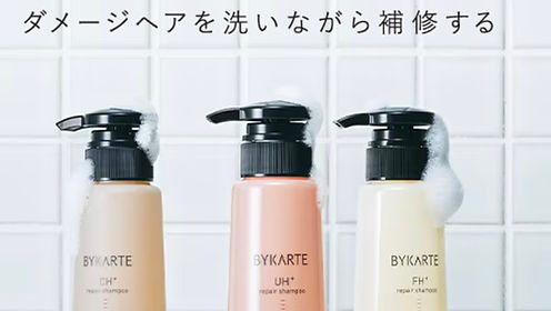 バイカルテホームケア、UHとHS