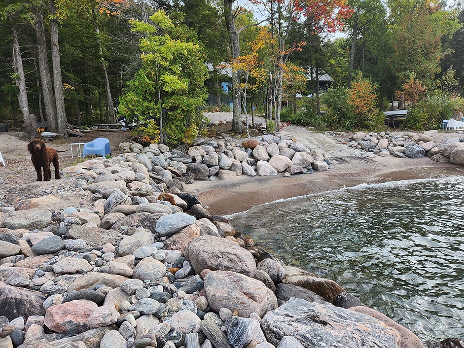 Boulder retaining wall along the lakeshore with a dog on the beach