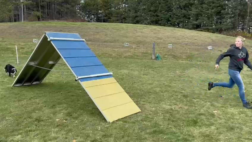 video of a-frame stride regulator