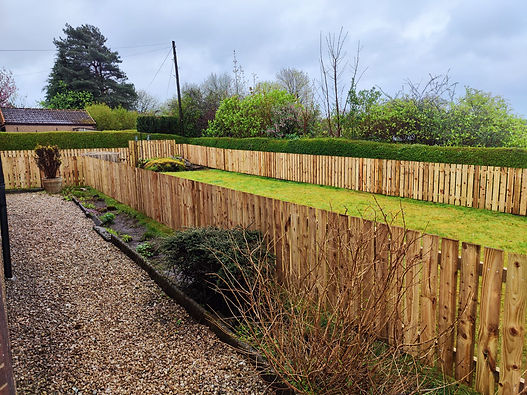 WhatsApp Image 2025-04-16 at 16.15.11_21b7f321.jpg