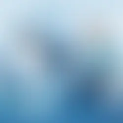Ablauf der orthopädischen Erstuntersuchung beim Wahlarzt