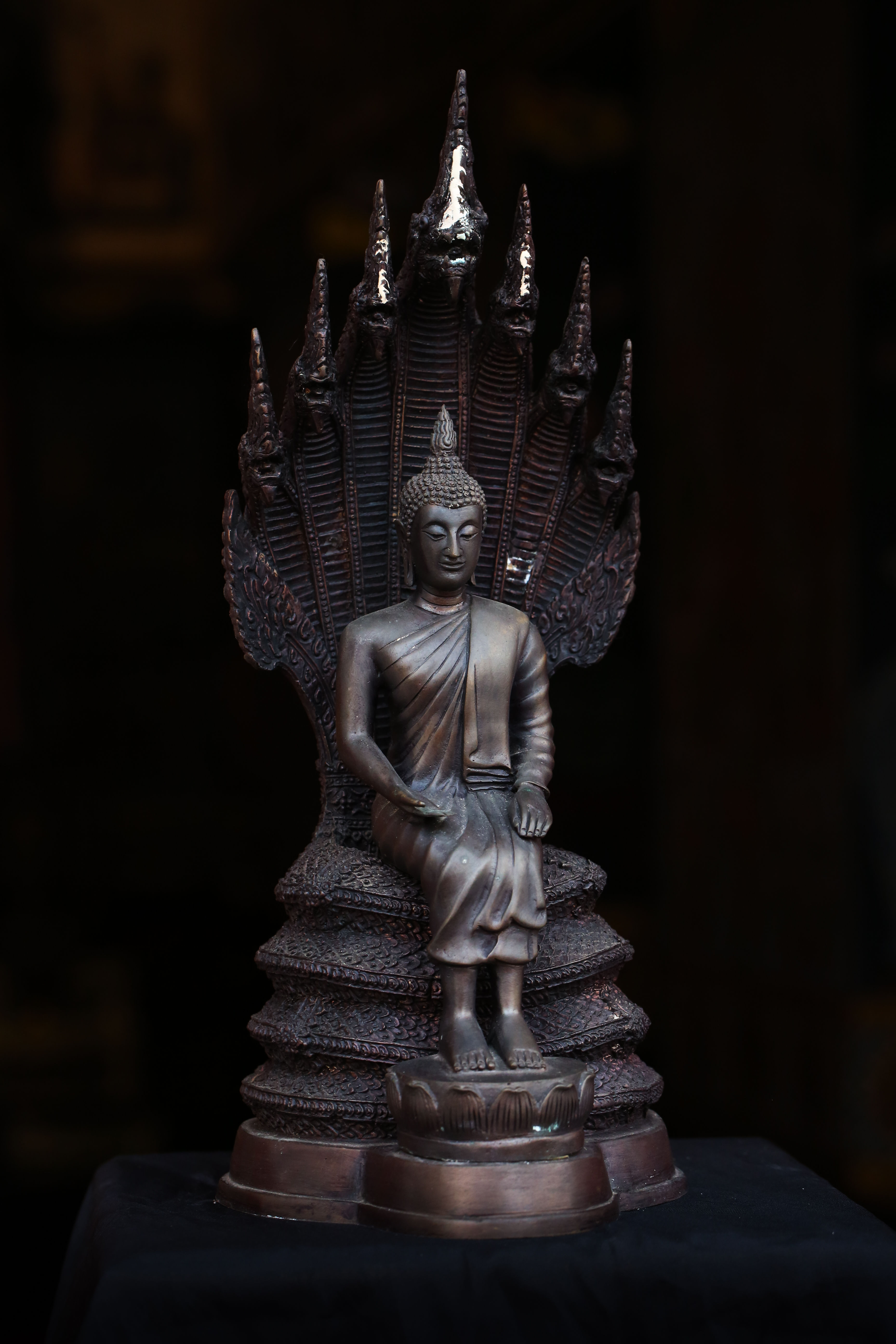 พระนาคปรกนั่งรับน้ำ 5"