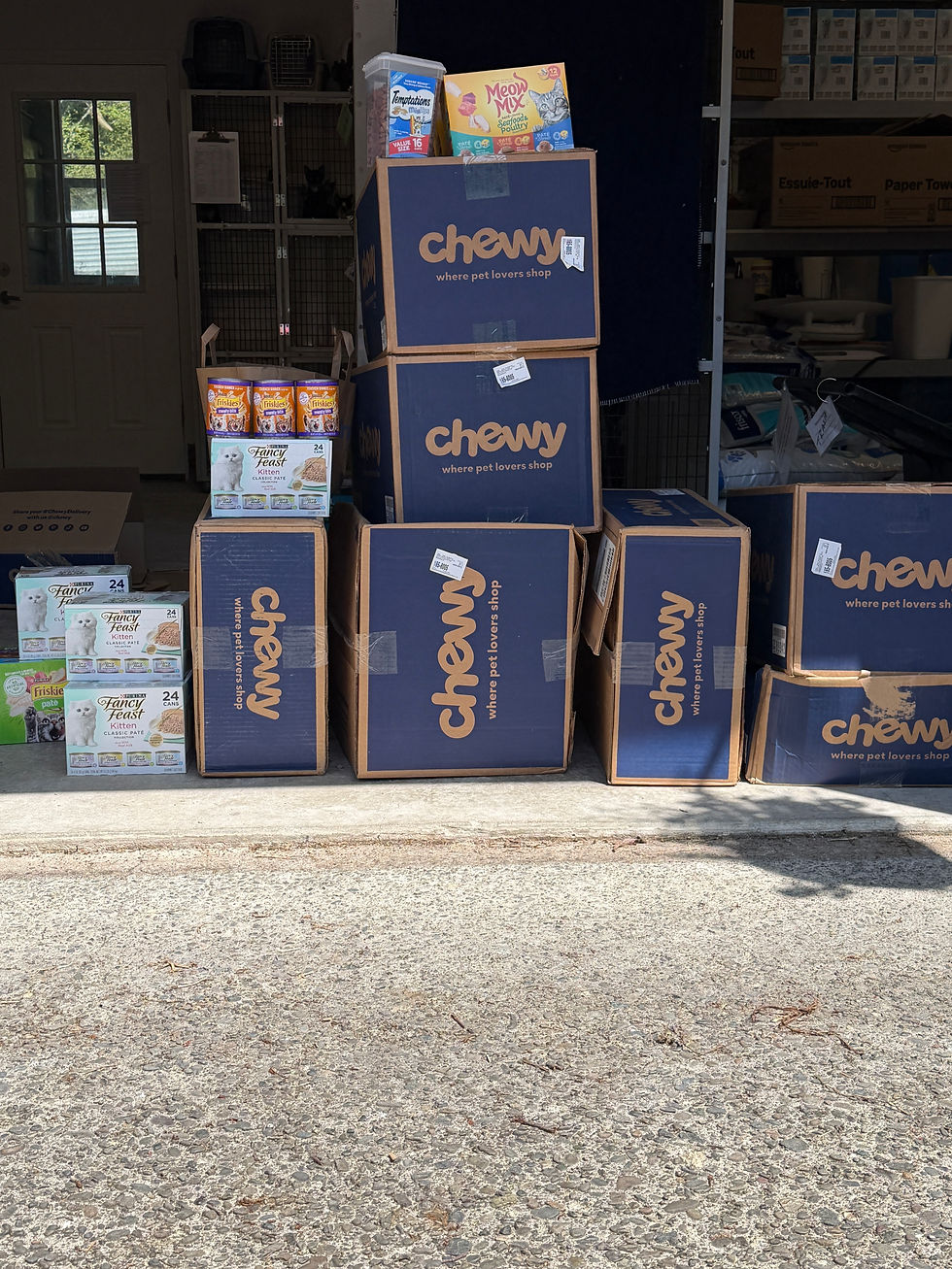 Thank you to the community for the generous response to our Pet Food Appeal, including North Beach Eagles and Eagle Riders for cash donations and commitment to continue collecting food.