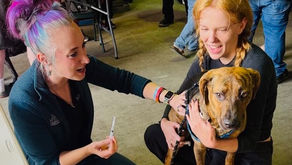 Volunteers at North Beach PAWS low-cost vaccine and microchip clinic