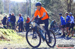 1 IMG_1044 VI.JPG