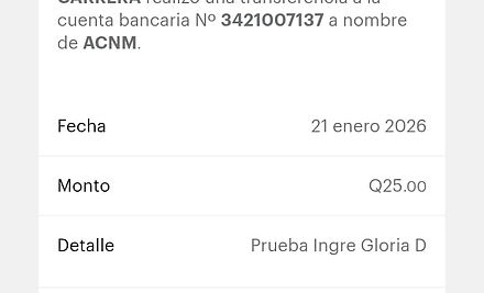 Ejemplo Boleta.jpg