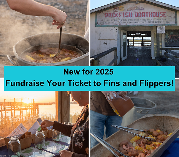 Fundraise your way in v3.png