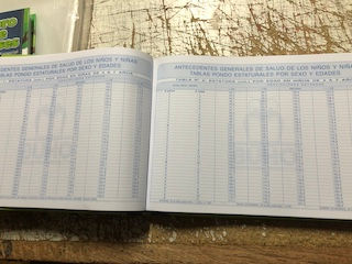 Miniatura: Libro de clases educación parvularia BH.2000