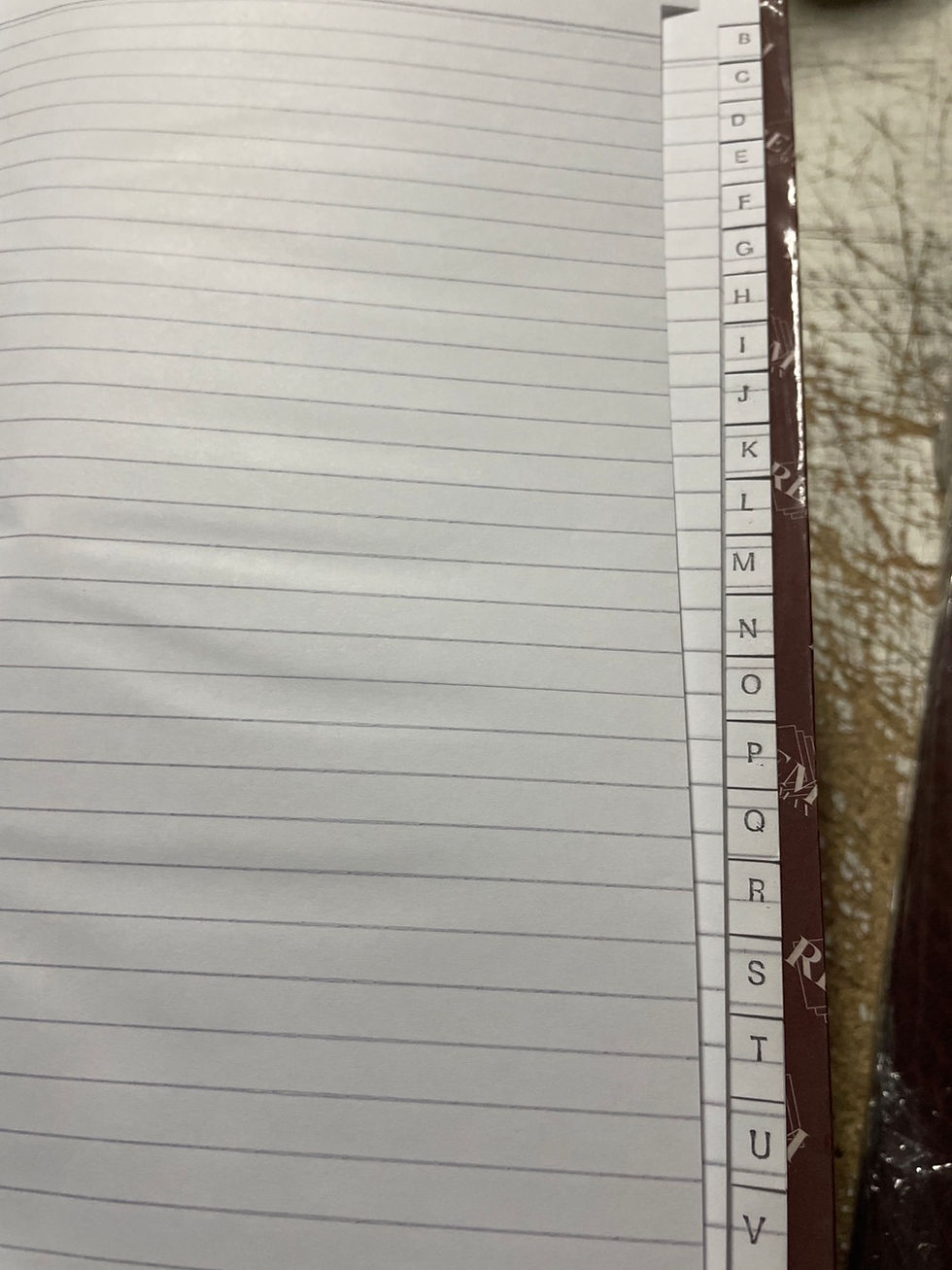 interior libro indice