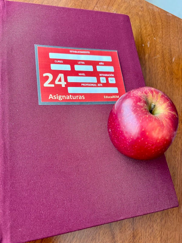 Libro clases 24 asignaturas con firma especialista PIE