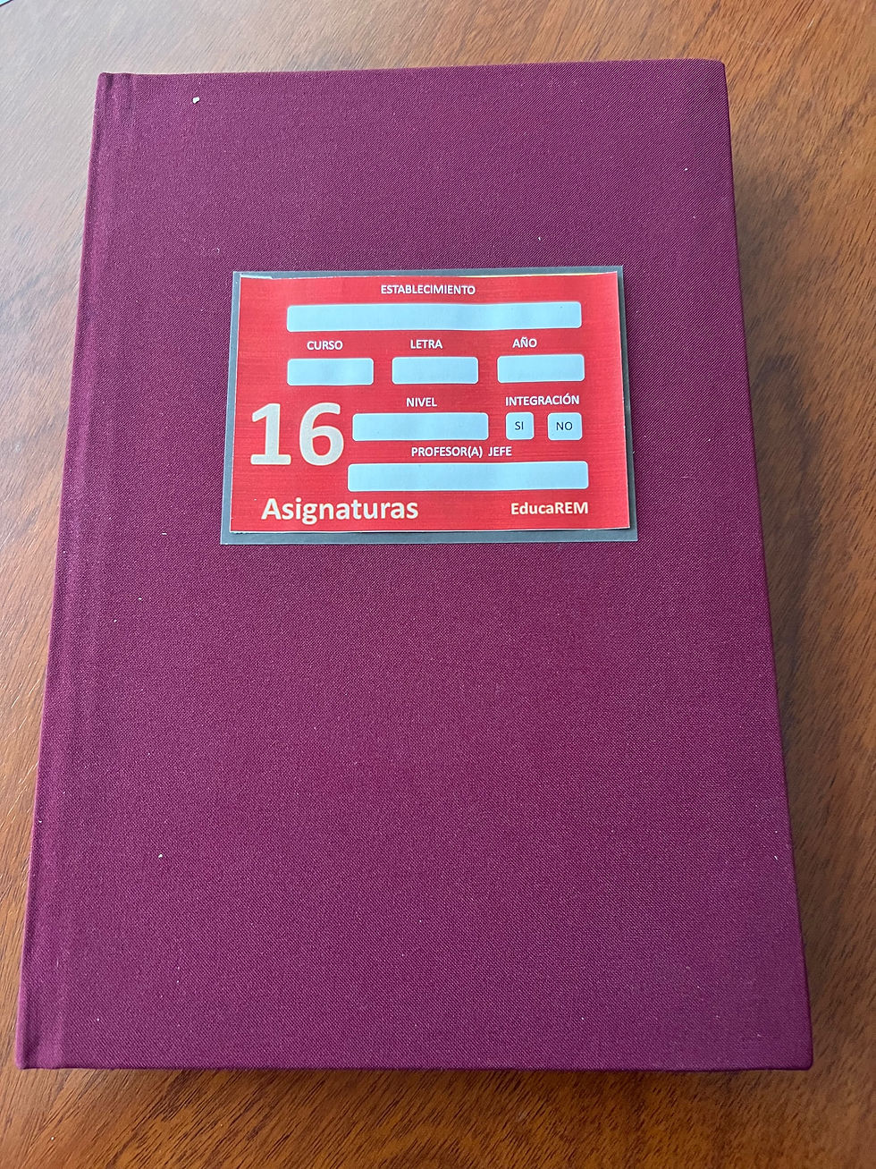 Libro clases 16 asignaturas con firma especialista PIE