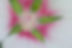 DSC_3971 - Version 2.jpg