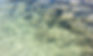 Hawaii ____ 106.jpg