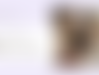 The Makeup Dilemma: Balancing Budget and Beauty