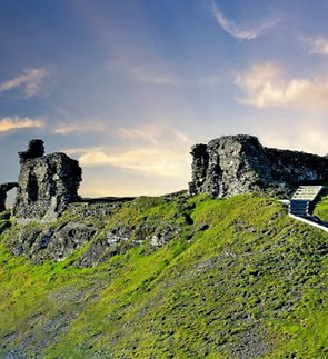 dinas bran pic_edited.jpg