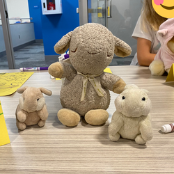 Stuffed Pet Show Photo 5