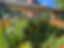 Garden Restoration3.jpg