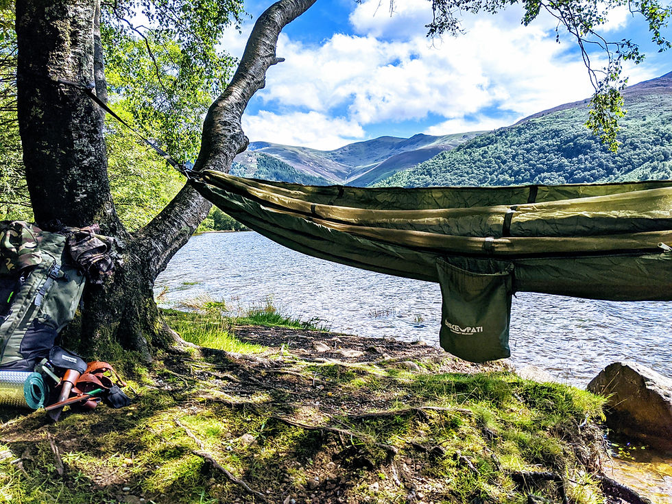Thumbnail: WildCamp Hammock