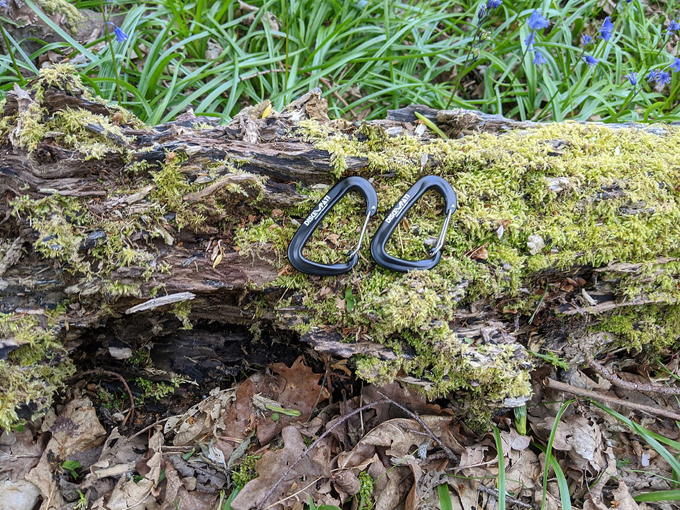 Thumbnail: WildCamp Caribiners x2