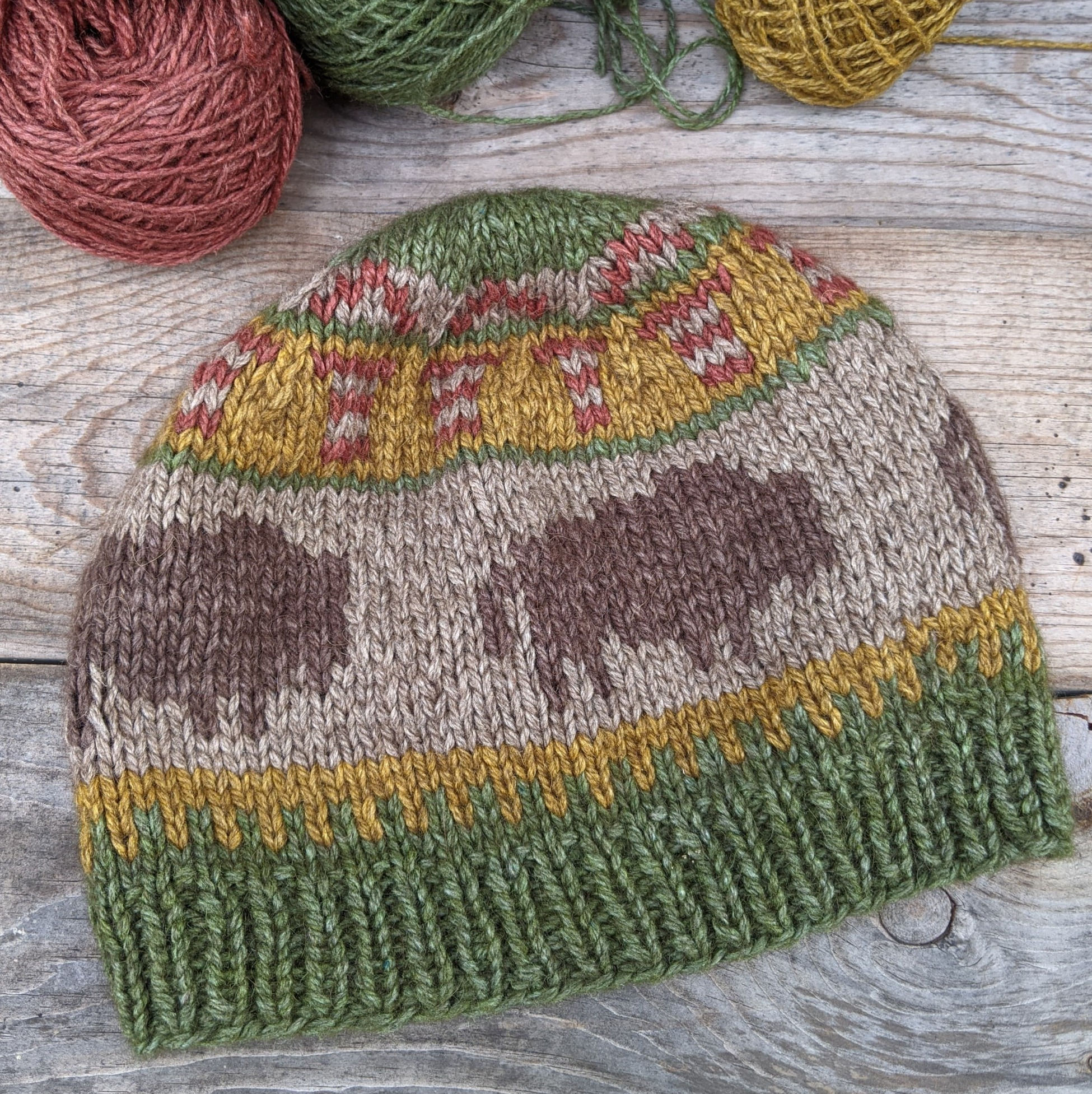 Theodore Roosevelt Beanie Pattern