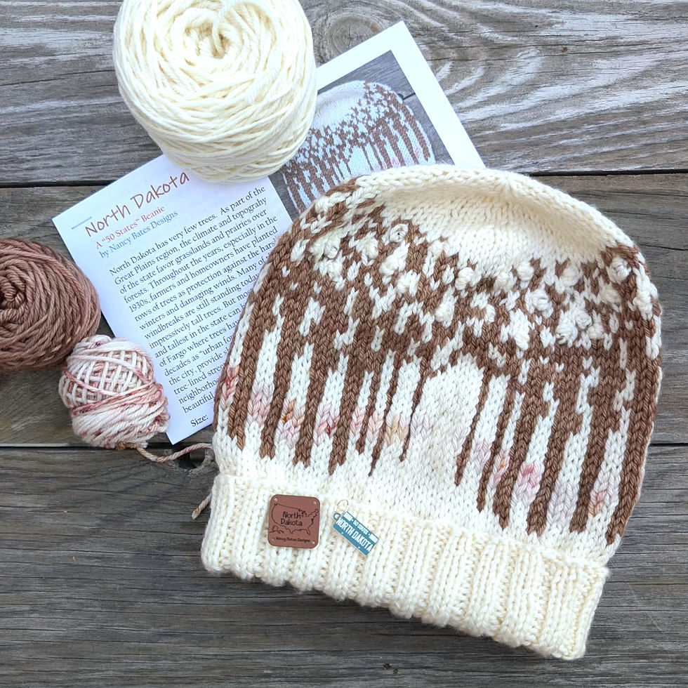 Thumbnail: North Dakota Beanie Bundle