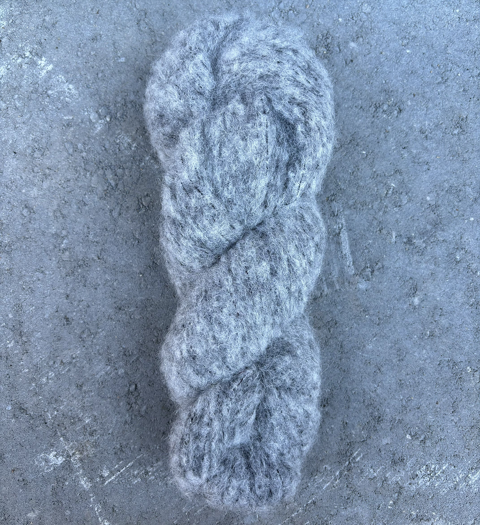 Miniature : Illimani Royal Alpaca II