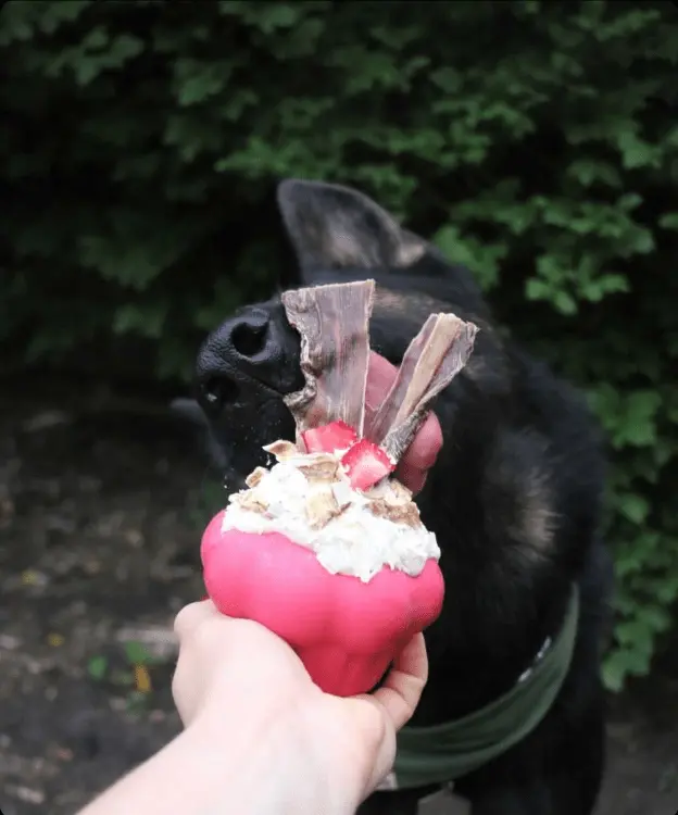 Thumbnail: SodaPup cupcake treat
