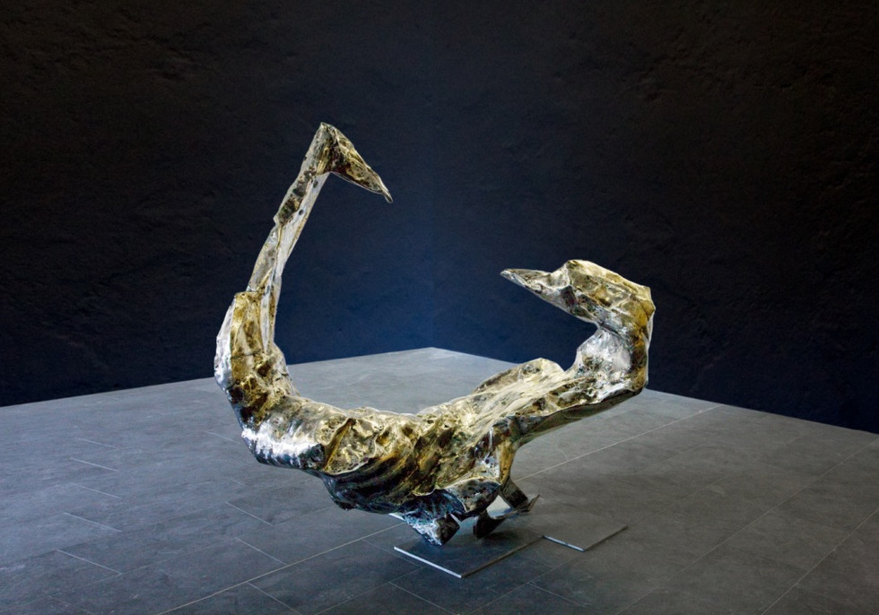 Armand le scorpion schizophrène - 2009