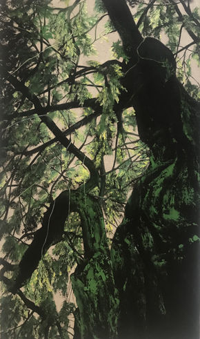 percée de lumière à travers les feuilles vertes d'un arbre vu du bas