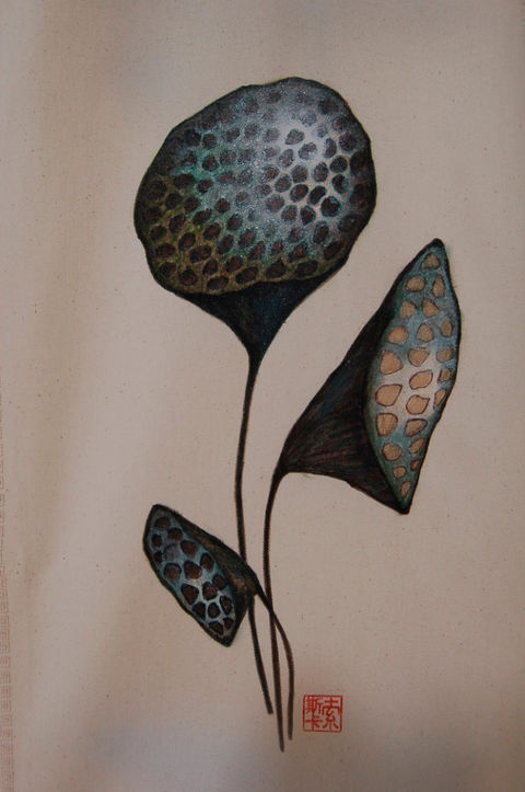 NELUMBO NUCIFERA, fleur de lotus au stylo et peinture
