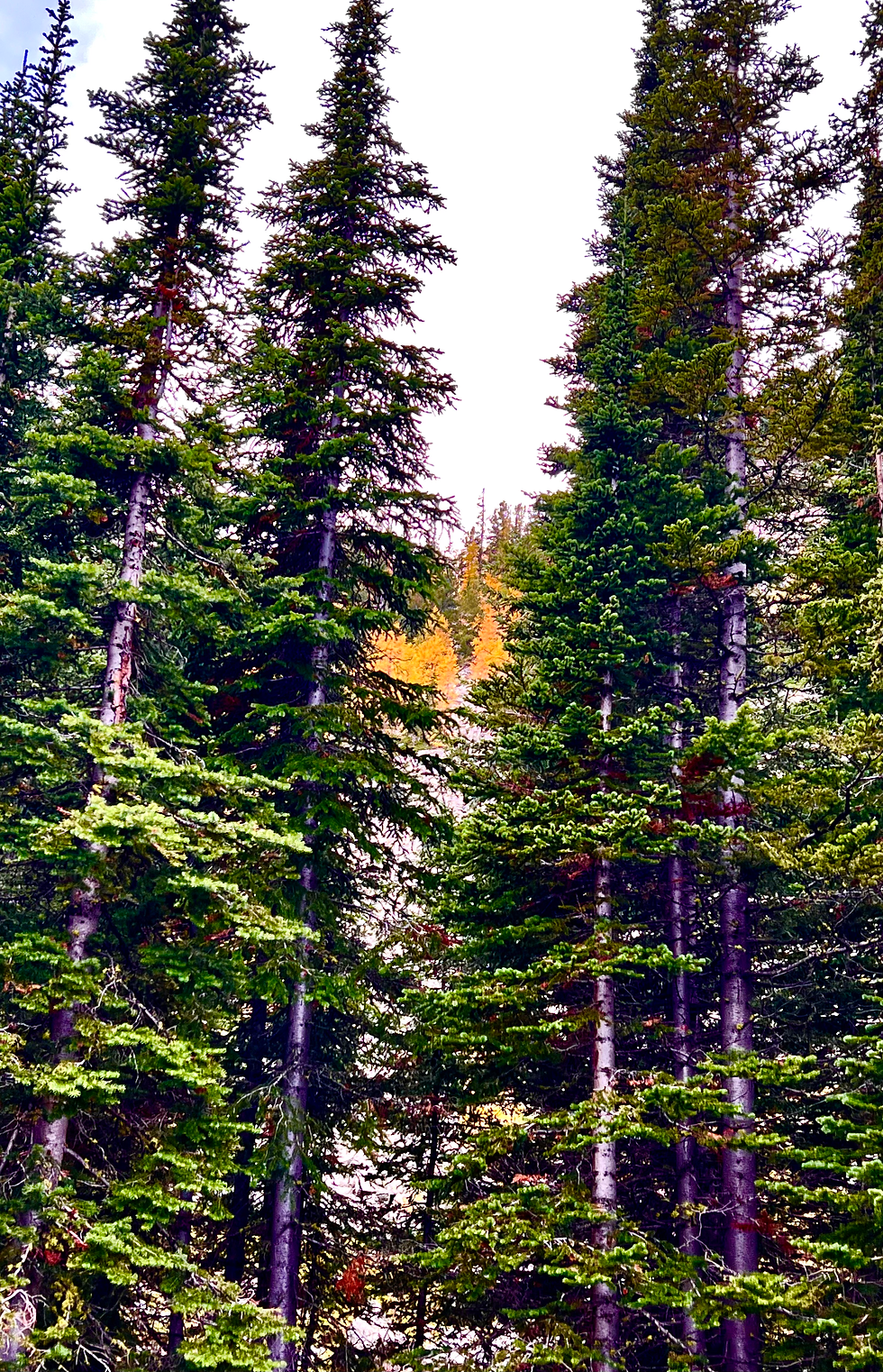 Thankful for all the community and beauty that surround us this season. Photo credit: Marsha Hill