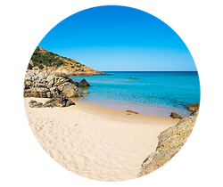 Beach .png