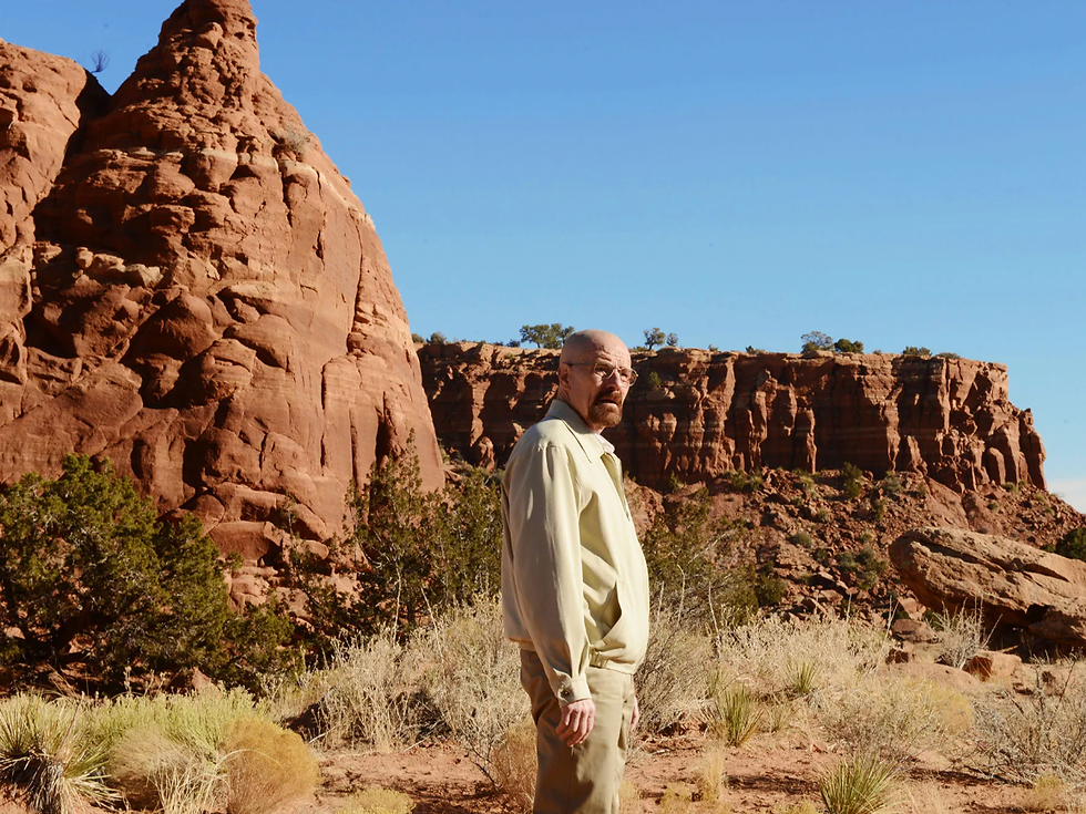 A man in a sandy desert stands near red rock formations under a clear blue sky. Dry shrubs surround him, creating a rugged landscape.