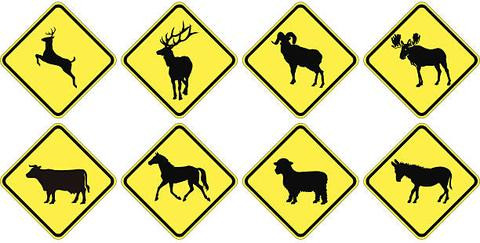 Animal Crossing Signs
