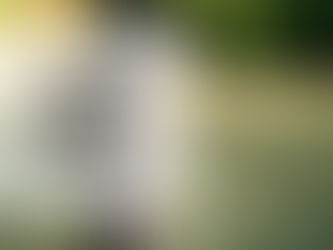 Staying hydrated in the summer months!