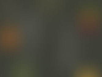 Nourishing Wildly in Season