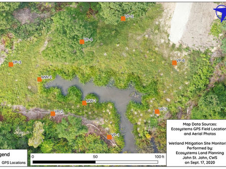 Vegetative Cover Assessment